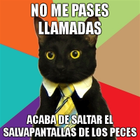 gato1 gato1