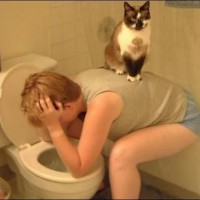 gato_resaca