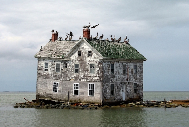 7. Isla Holandesa en la Bahía de Chesapeake